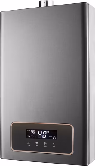 Chine Usine OEM Type de conduit de vente en gros Vente chaude Appareil ménager 6L 10L 12L 16L 20L Chauffe-eau instantané sans réservoir au gaz naturel GPL pour douche Approbation CE.